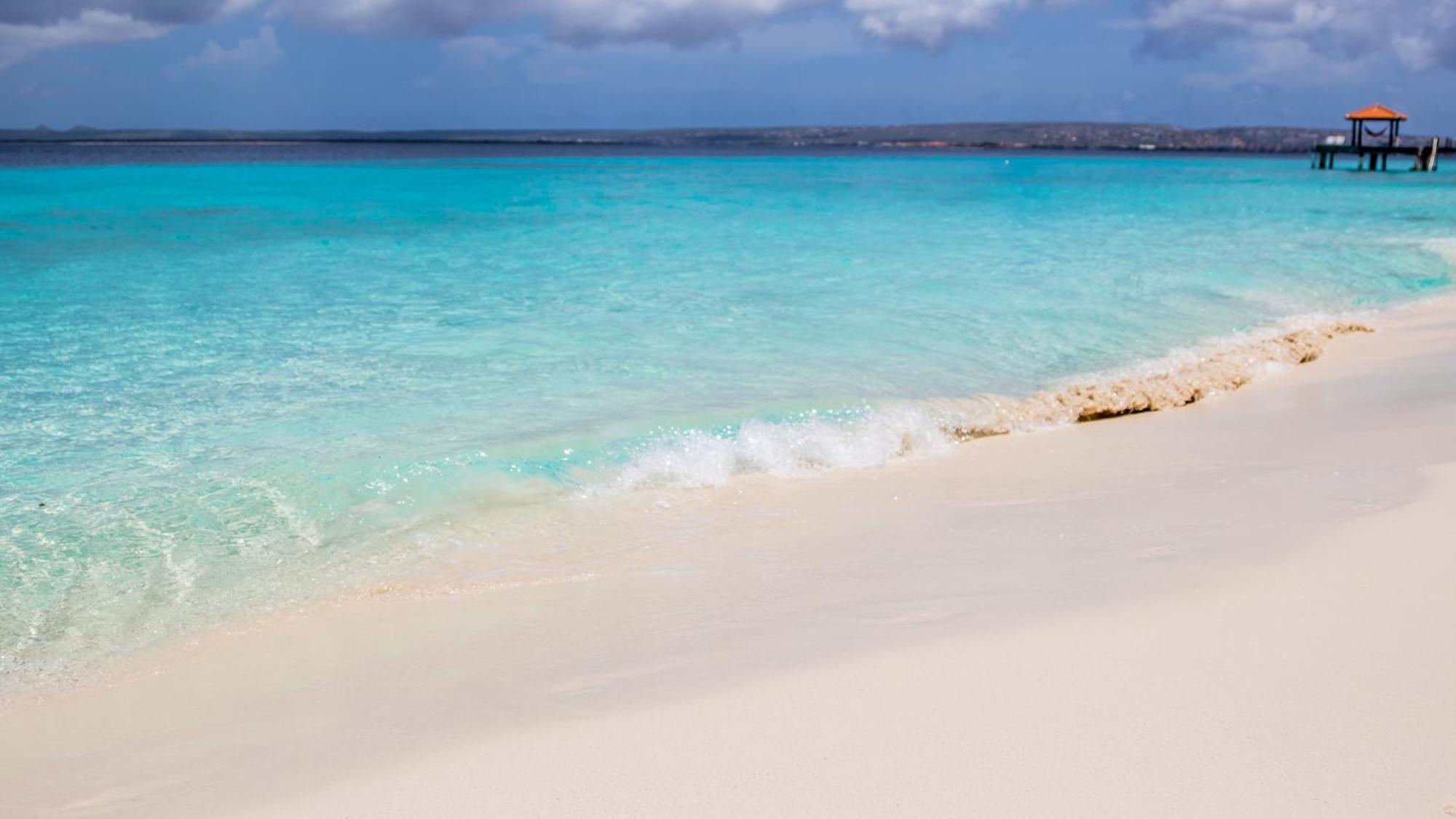 Isla Penthouse & Garden Apartments Bonaire Playa Esterno foto